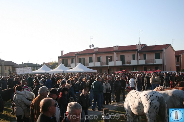 In prà della Antica Fiera di Arsego (11).JPG